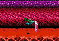 Battletoads Turbo Tunnel